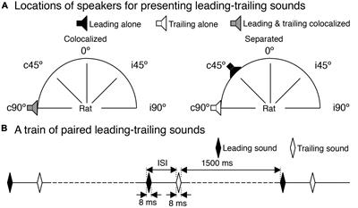 Spatial-dependent suppressive aftereffect produced by a sound in the rat’s inferior colliculus is partially dependent on local inhibition